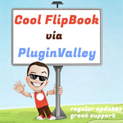 Cool Flip Book 