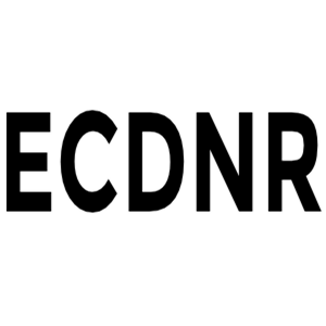 ECDNR - Easy CDN Rewrite Pro 