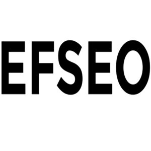 efseo-easy-frontend-seo-13